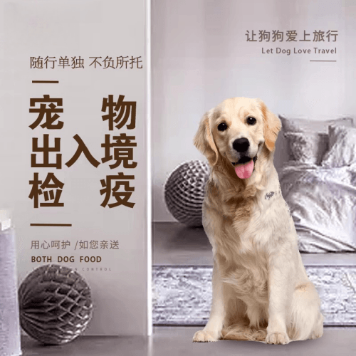 永州市宠物托运到哥伦比亚猫狗宠物入境规定和