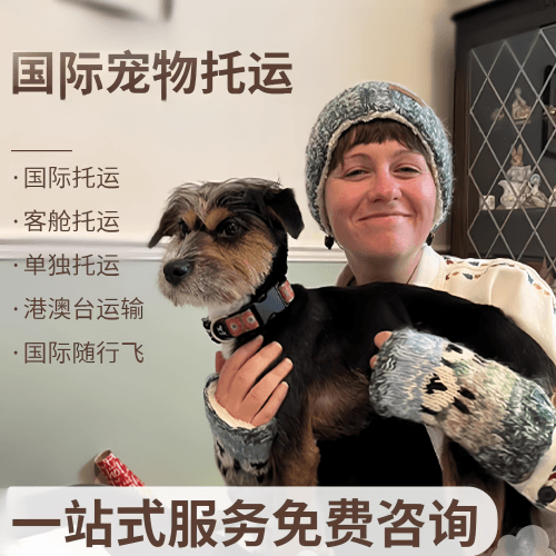 永州市国际宠物托运到阿根廷宠物入境规定和要