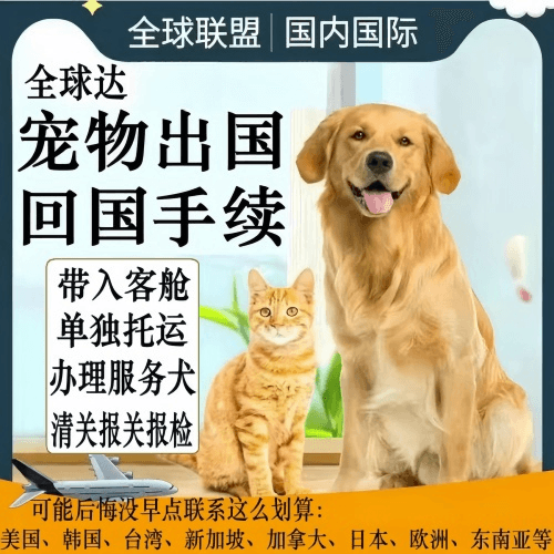 永州市宠物托运到柬埔寨宠物入境规定和要求
